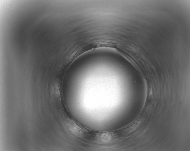 X0000061120282200511211009