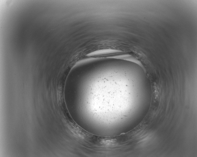 X0000061120283200511211009