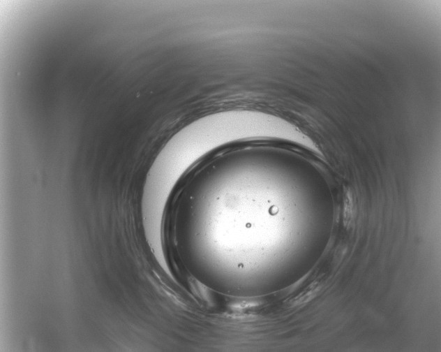 X0000061120284200511211009