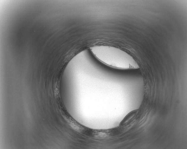 X0000061120285200511211009