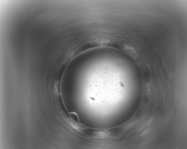 X0000061120286200511211009