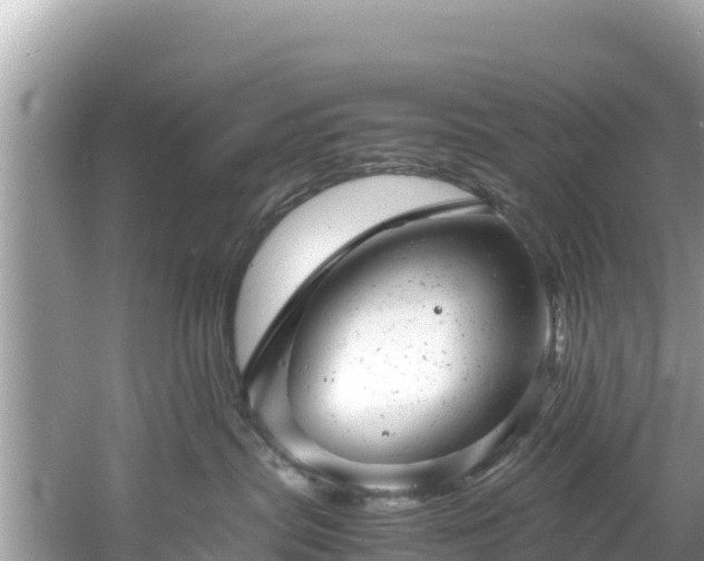 X0000061120287200511211009