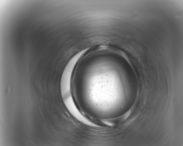 X0000061120288200511211009