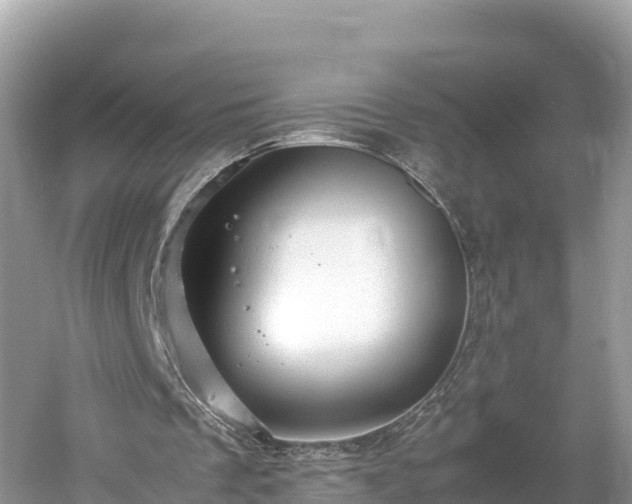 X0000061120289200511211008