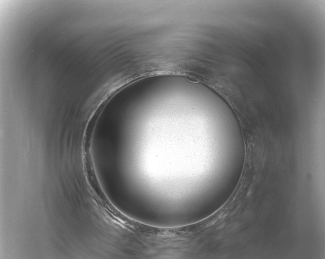 X0000061120290200511211008