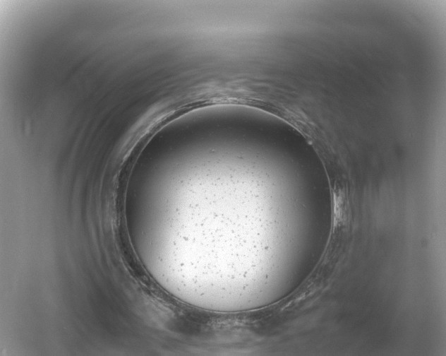 X0000061120291200511211008