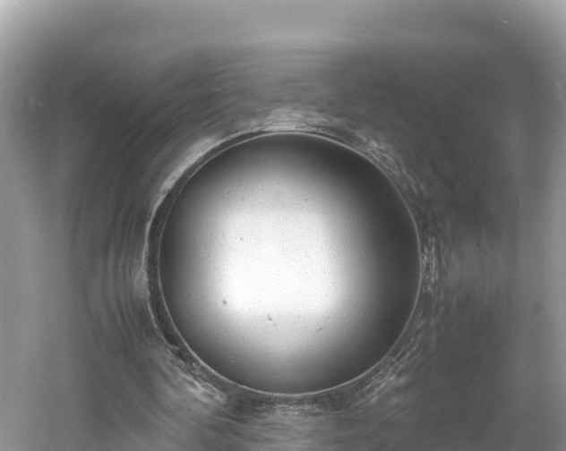 X0000061120292200511211008