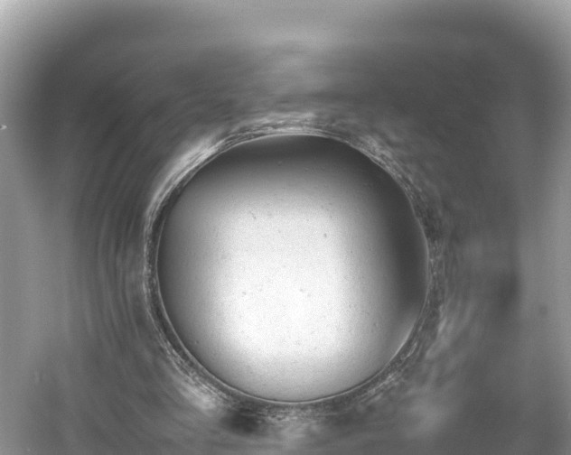 X0000061120293200511211008