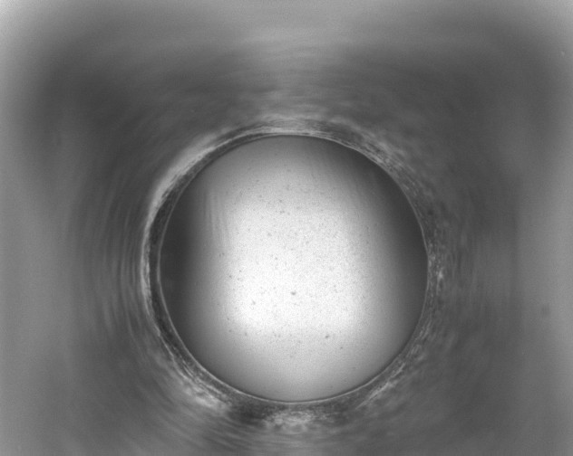 X0000061120294200511211008