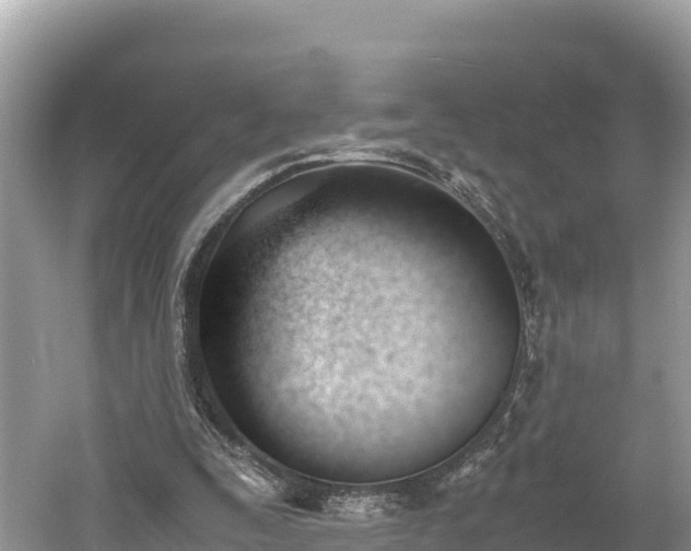 X0000061120295200511211008