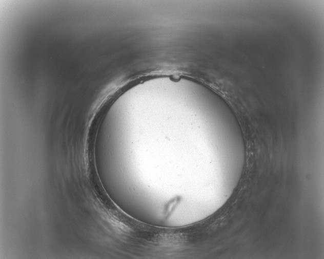 X0000061120296200511211008