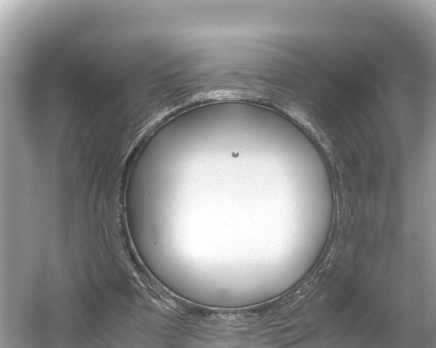 X0000061120297200511211008