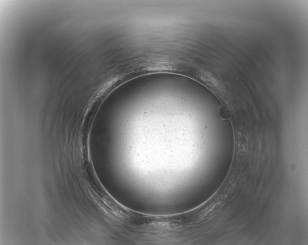 X0000061120298200511211008