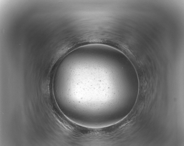 X0000061120299200511211008