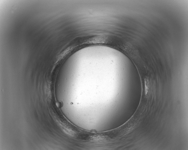 X0000061120300200511211008