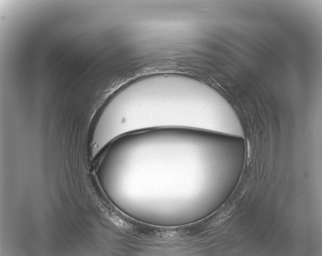 X0000061120301200511211008