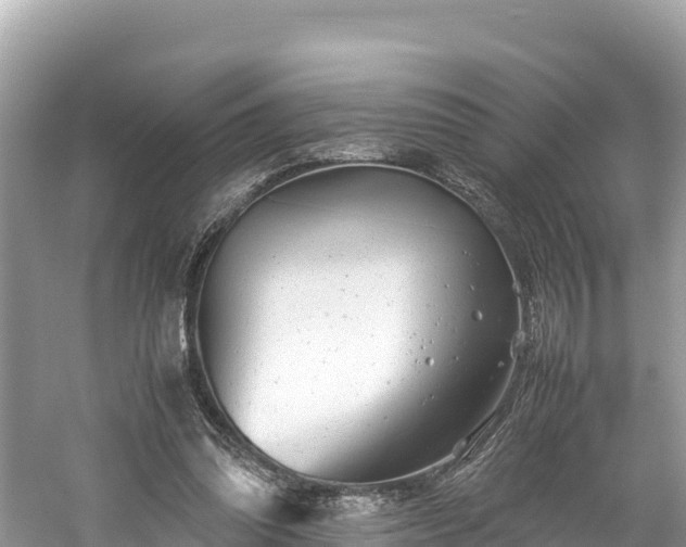 X0000061120302200511211008