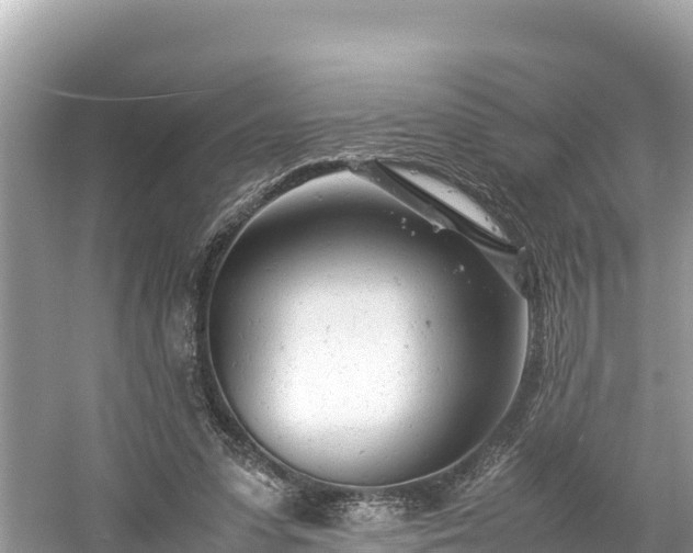 X0000061120303200511211008