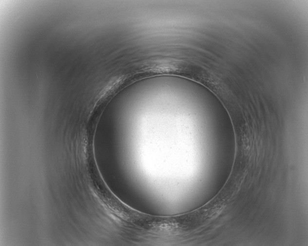 X0000061120304200511211008