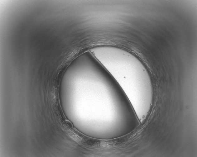 X0000061120305200511211008