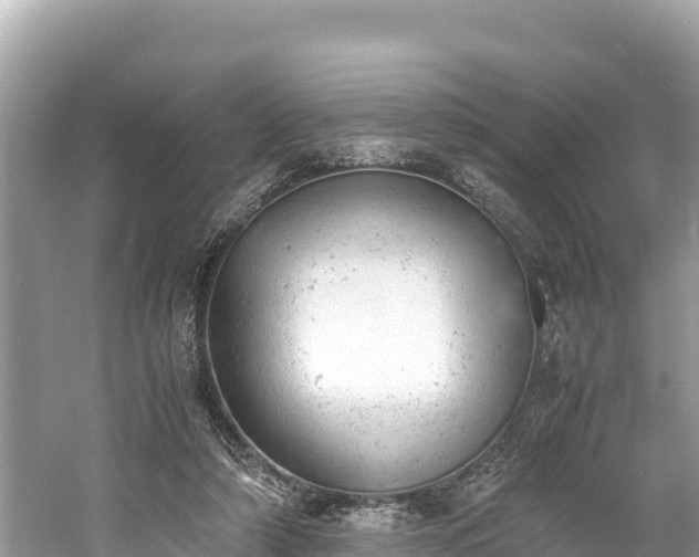 X0000061120306200511211008