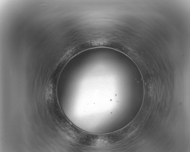 X0000061120308200511211008