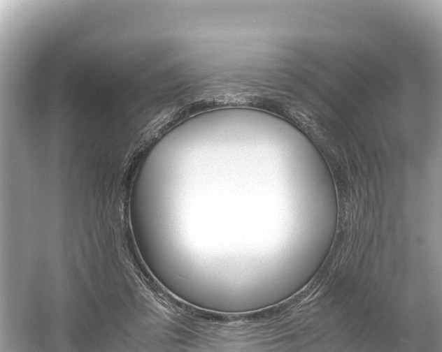 X0000061120309200511211008