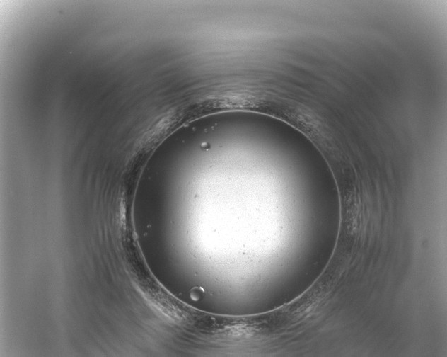 X0000061120310200511211008