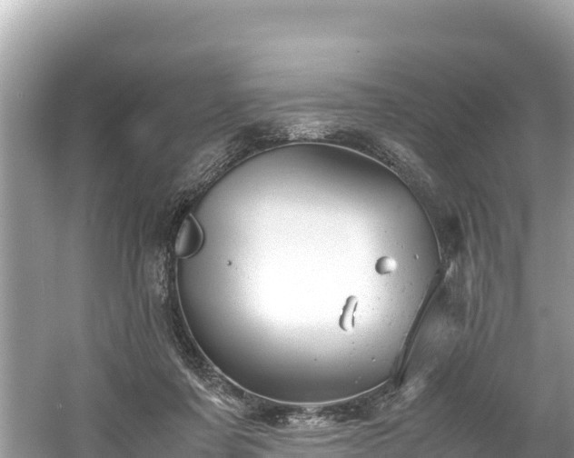 X0000061120311200511211008