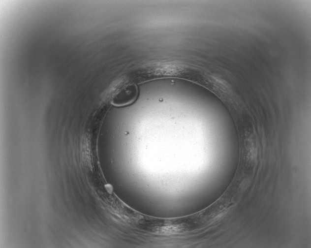 X0000061120312200511211008