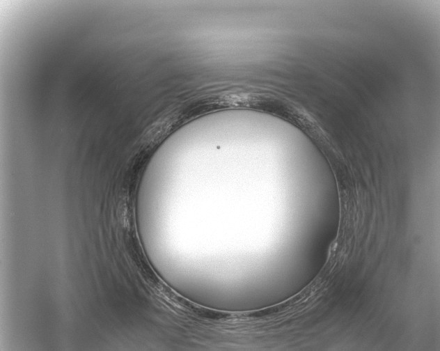 X0000061120313200511211008