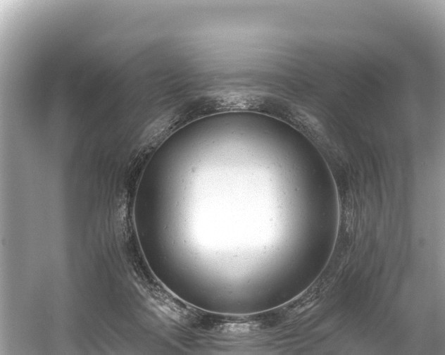 X0000061120314200511211007