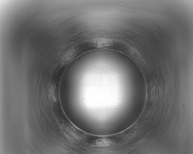 X0000061120316200511211007