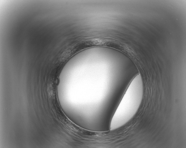 X0000061120317200511211007