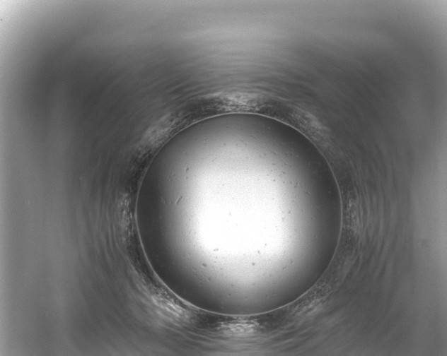 X0000061120318200511211007