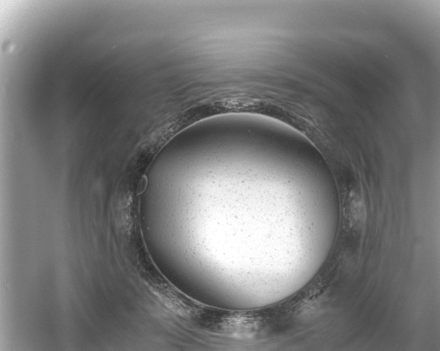 X0000061120319200511211007