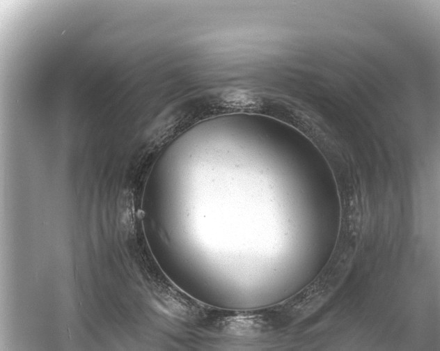 X0000061120320200511211007