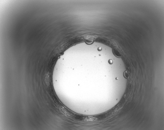 X0000061120321200511211007