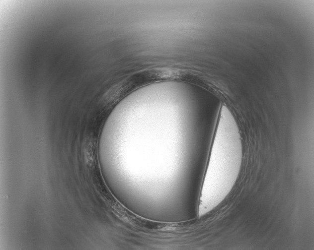 X0000061120325200511211007