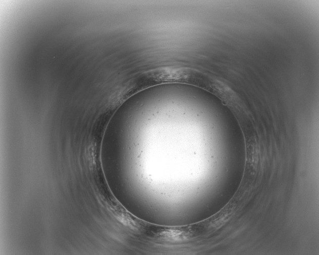 X0000061120326200511211007