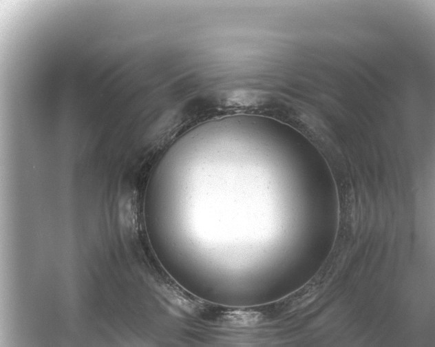 X0000061120328200511211007