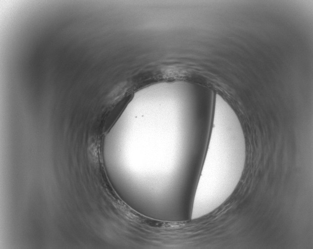 X0000061120329200511211007