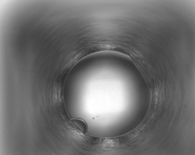 X0000061120330200511211007