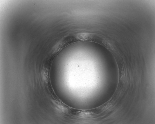 X0000061120332200511211007