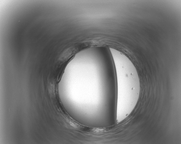 X0000061120333200511211007