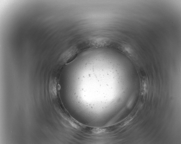 X0000061120334200511211007