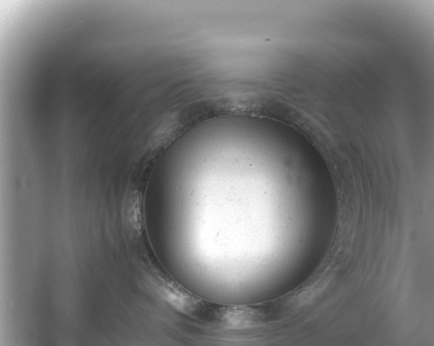 X0000061120336200511211007