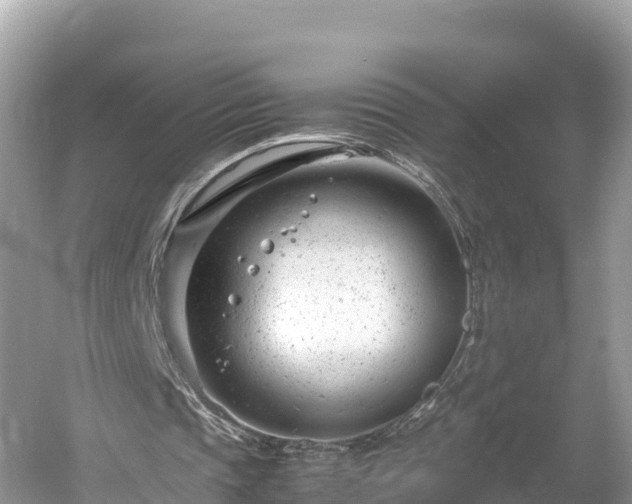 X0000061120337200511211006