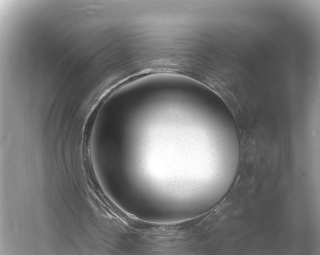 X0000061120338200511211006