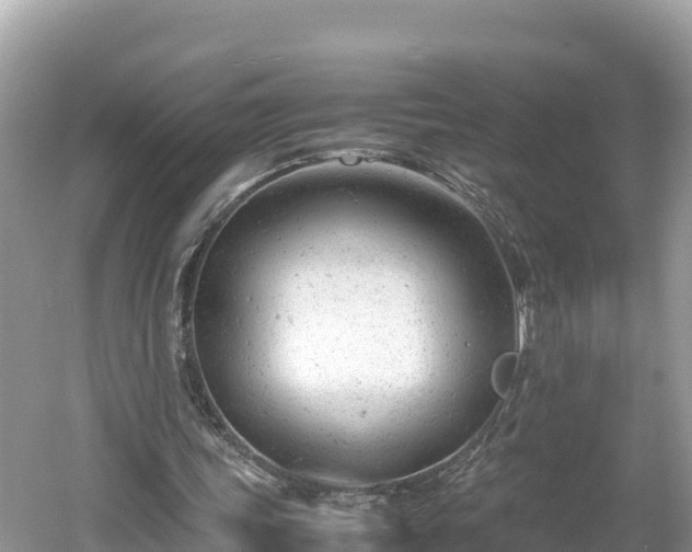 X0000061120339200511211006